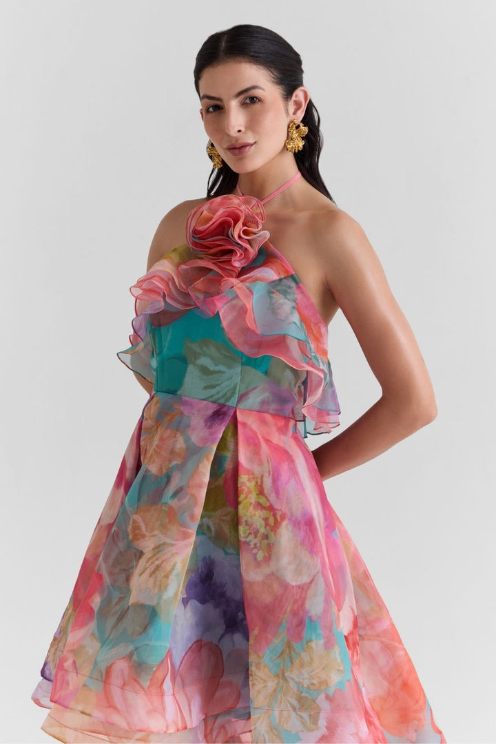 Amour Print Organza Dress