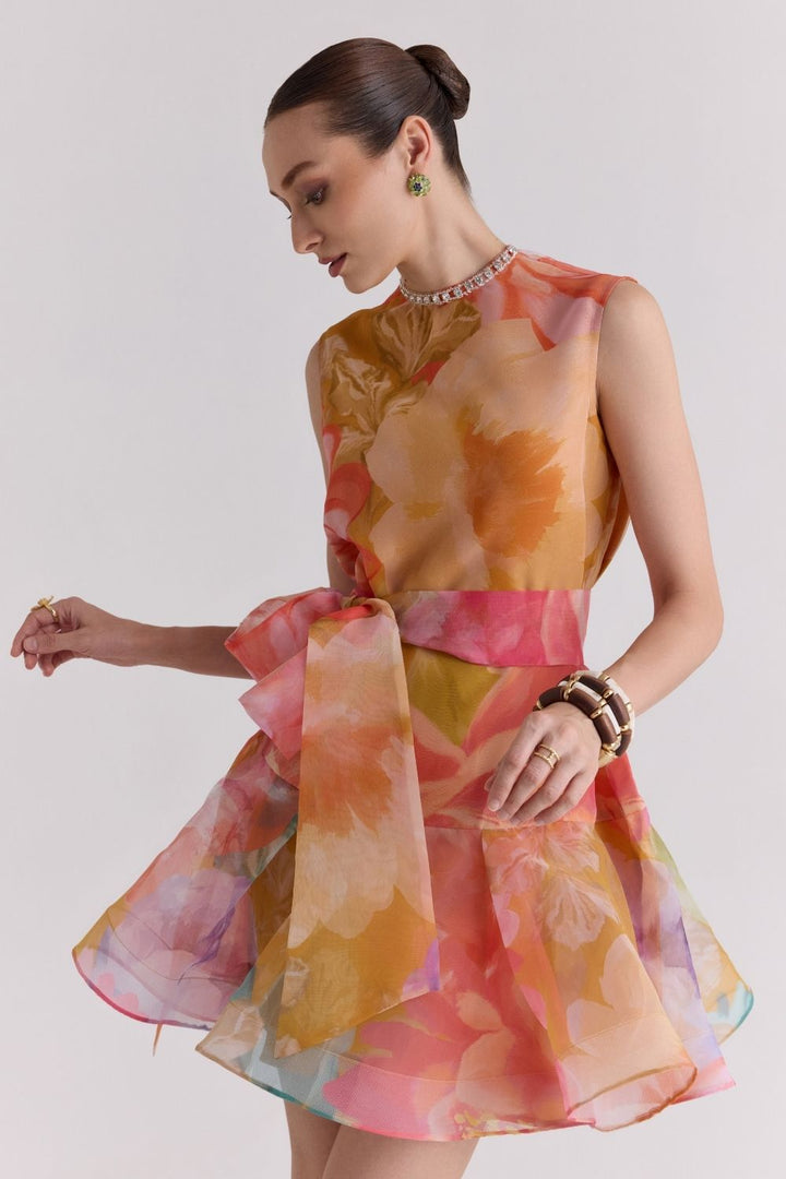 Serena Organza Mini Dress