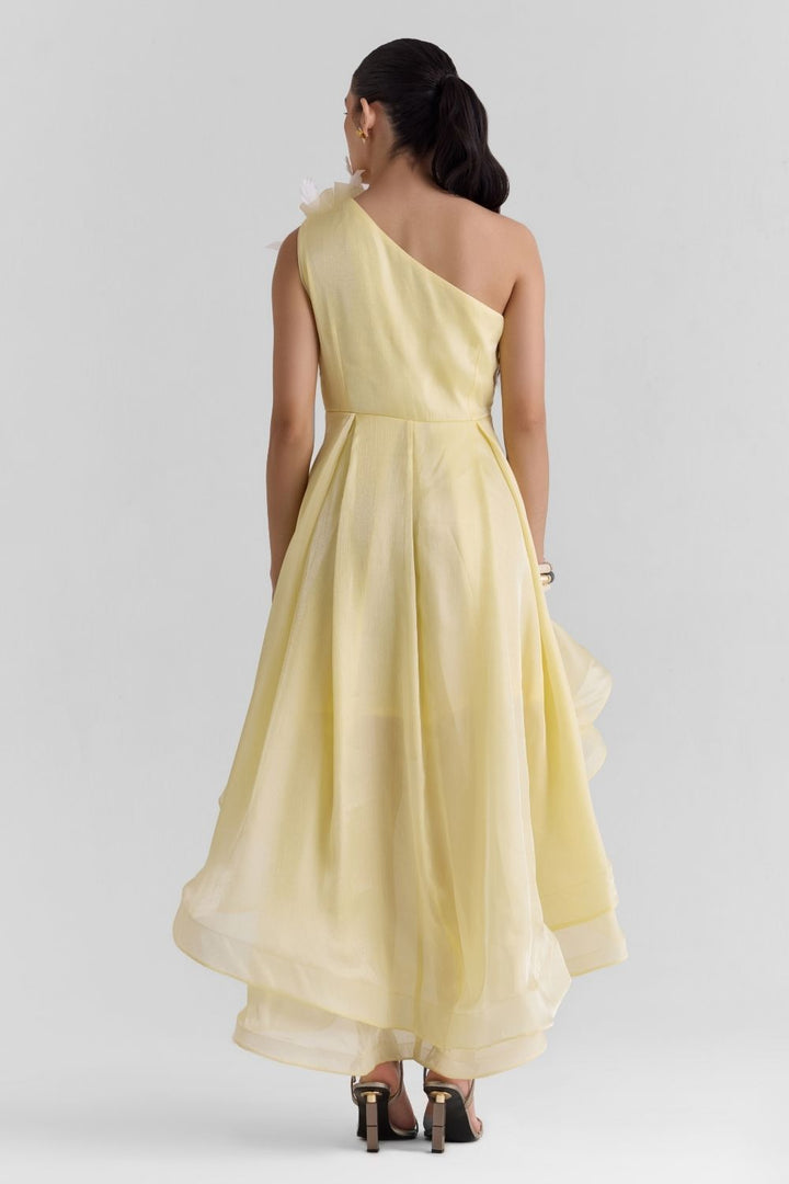 Sheen Organza Midi Dress
