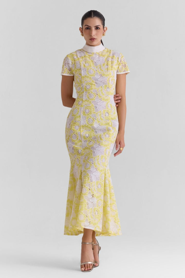 Mist Lace Midi Dress