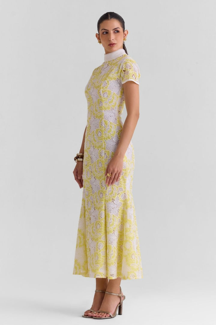 Mist Lace Midi Dress