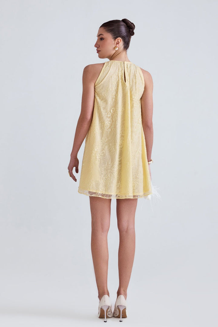 Elsi Lace Flared Mini Dress - Zabella