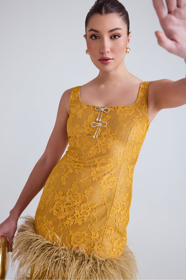 Lareta Lace and Feather Midi Dress - Zabella